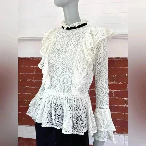 Amaryllis Tops - Amaryllis  Lace  High Neck Blouse Ruffles  Long Sleeve New Romantic Sheer